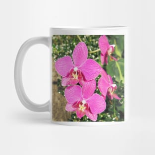 Pink Orchid Collage Mug